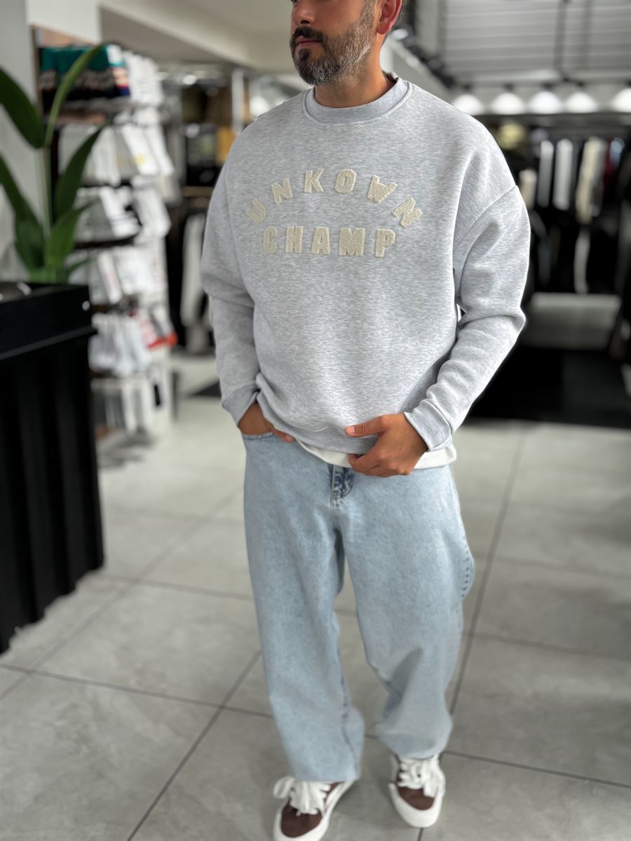 Light Gray Unknown Embroidered Oversized Sweatshirt HM-