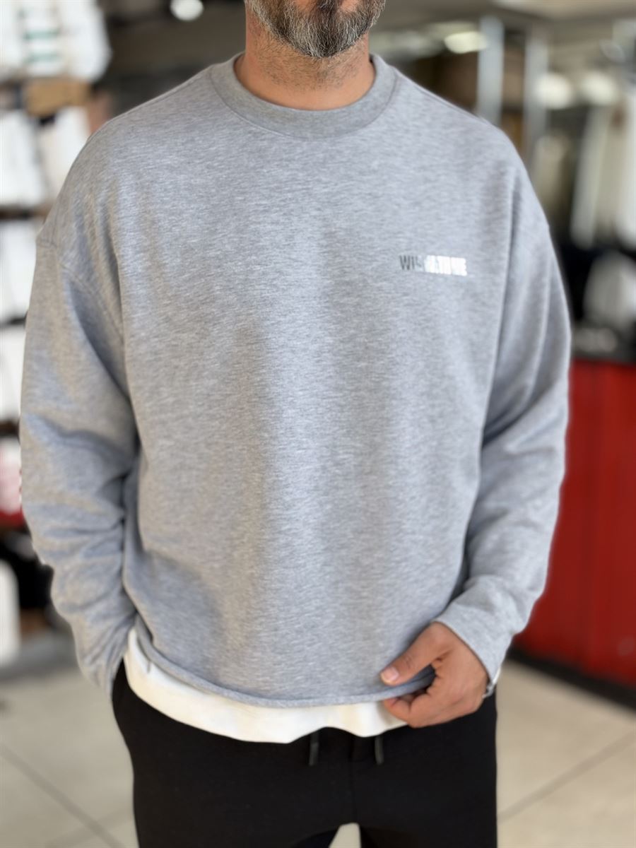 Light Grey Sweatshirt with Shiny Win Lettering ES-206