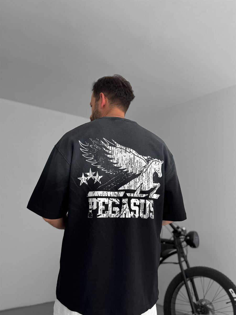 Pegasus Printed Washed Oversize T-Shirt