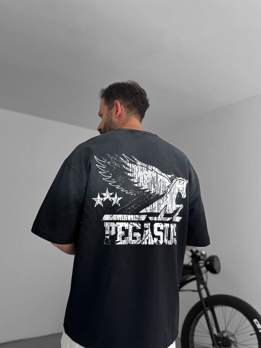 Pegasus Printed Washed Oversize T-Shirt