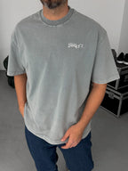 Grey Washed Embroidered T-Shirt TW-1070