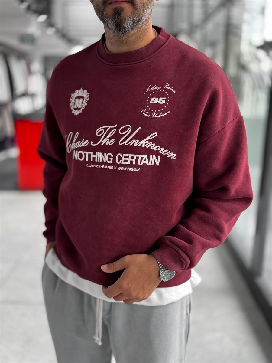 Burgundy Nothing Printed Washed Sweatshirt HM