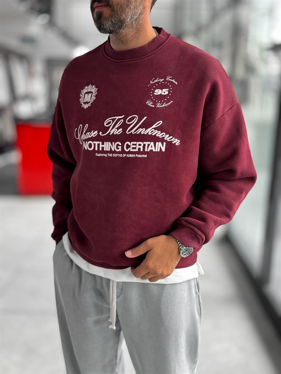 Burgundy Nothing Printed Washed Sweatshirt HM