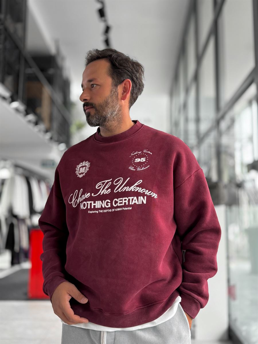 Burgundy Nothing Printed Washed Sweatshirt HM