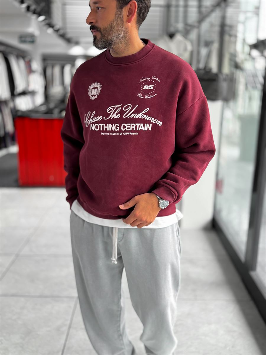 Burgundy Nothing Printed Washed Sweatshirt HM
